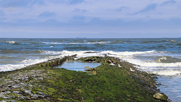 Am Strand von Wangerooge