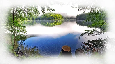Morgens am See