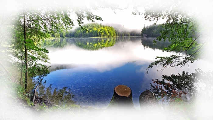 Morgens am See