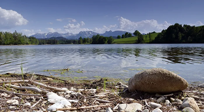 Am Schwaltenweiher