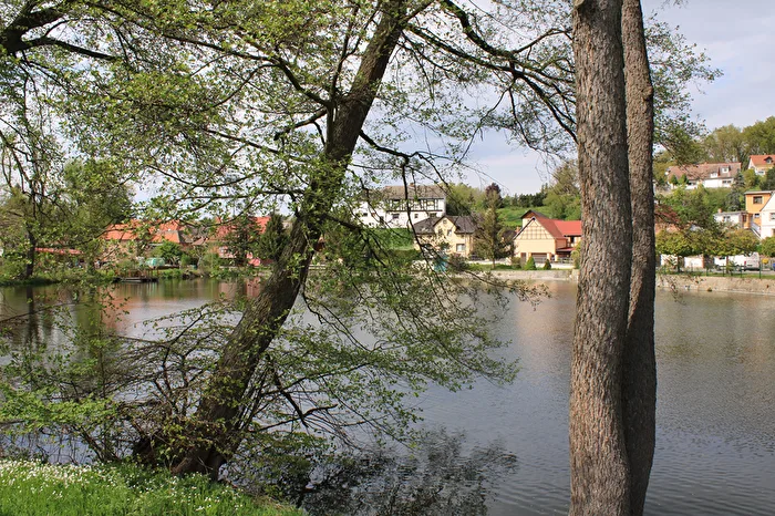Baum