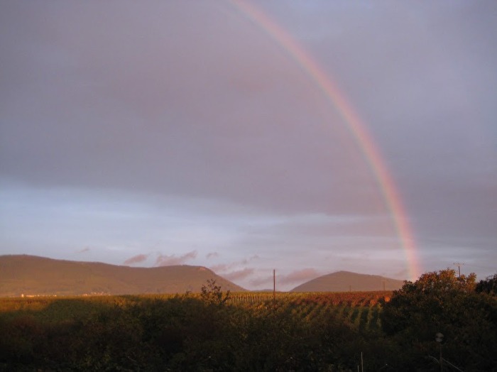 regenbogen