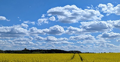Frühlings Feeling