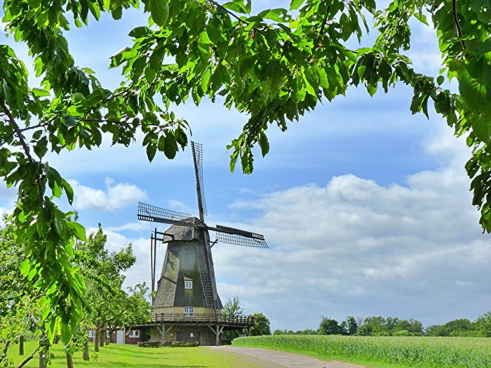 eine 200 Jahre alte Kappenwindmühle