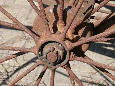 Rost
