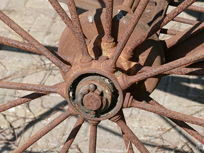 Rost