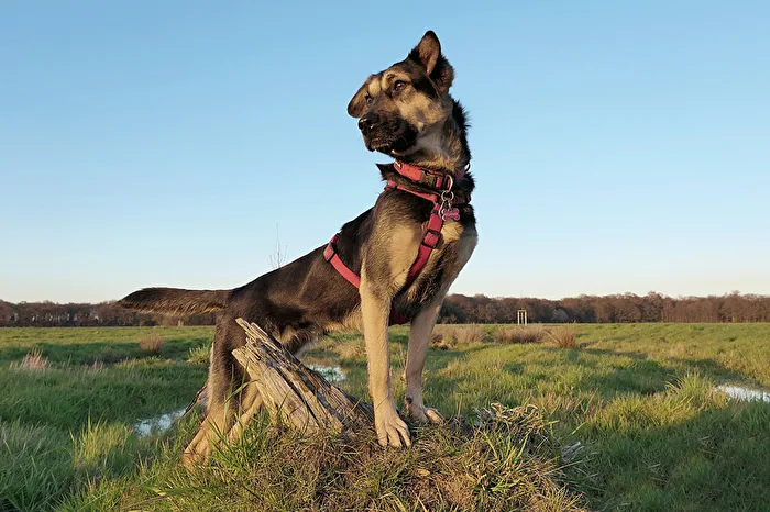 Kleine Maggie ganz groß