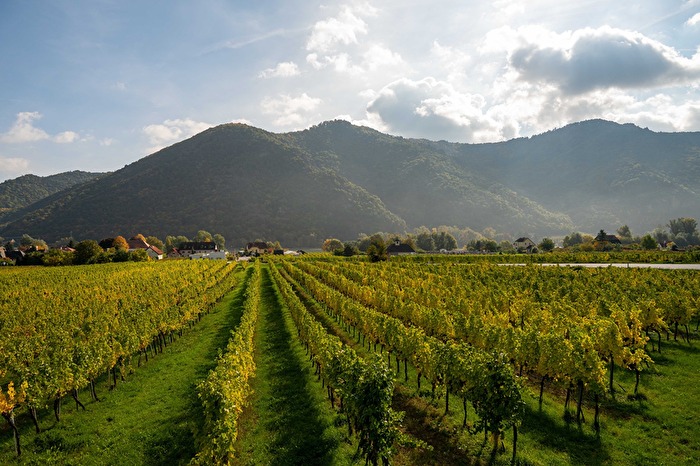Wachau