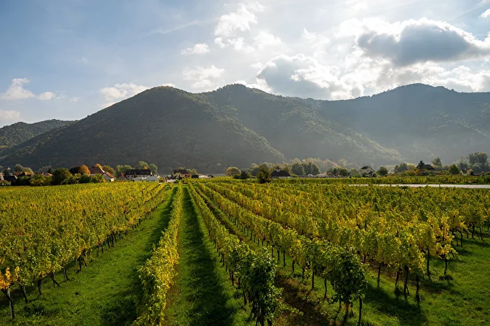 Wachau
