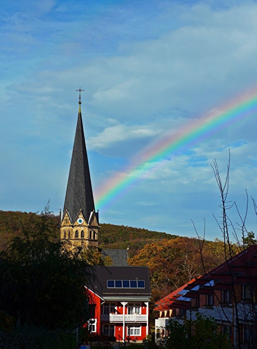 Regenbogen