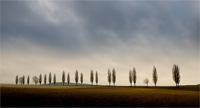 Parallel