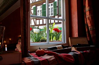 Ausblick