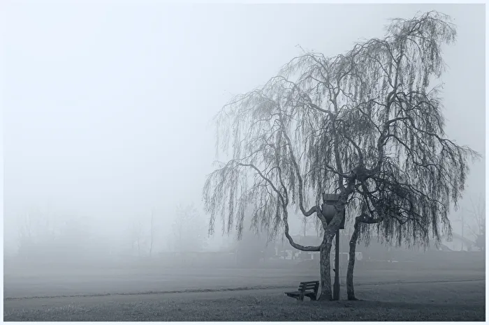 Gray Times