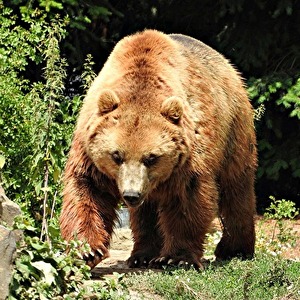 Avatar des Mitgliedes